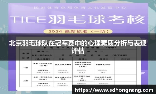 北京羽毛球队在冠军赛中的心理素质分析与表现评估