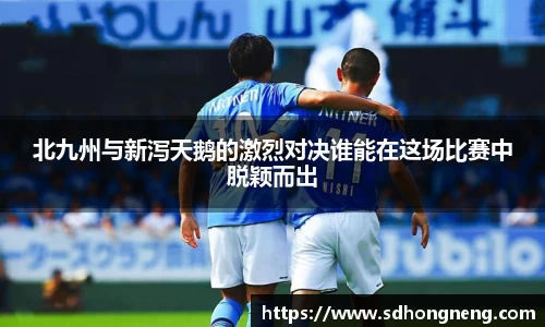 凤凰联盟APP